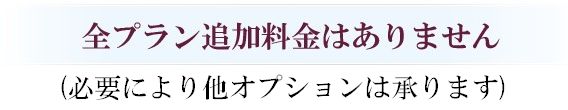 全プラン追加料金はありません(必要により他オプションは承ります)