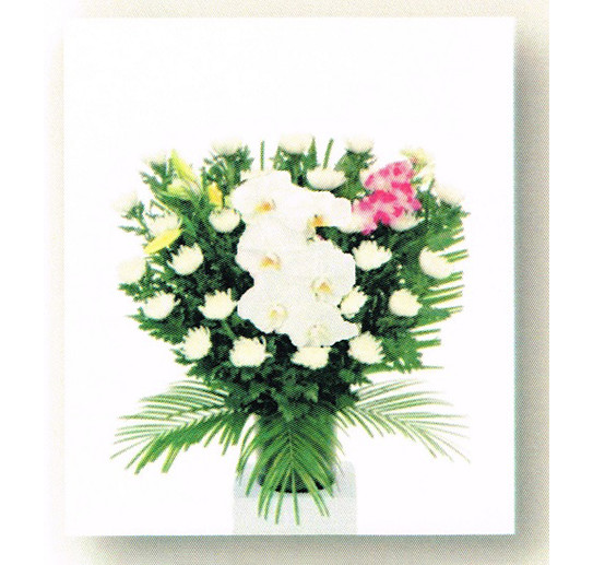 菊 15,750円